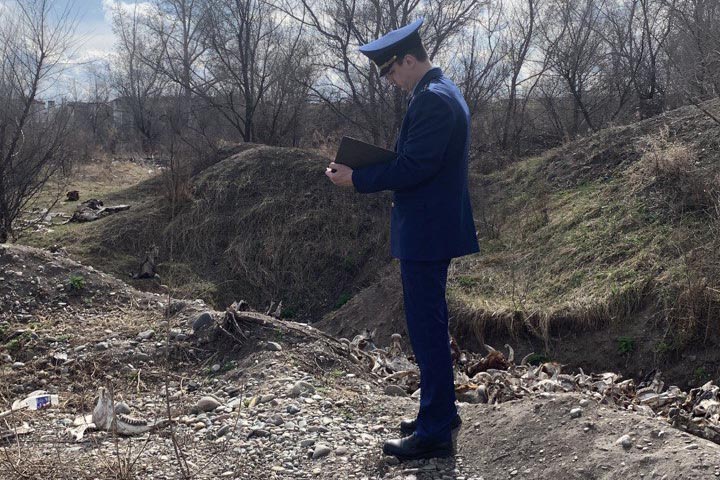 В Усть-Абакане прокуратура потребовала убрать рога и копыта 